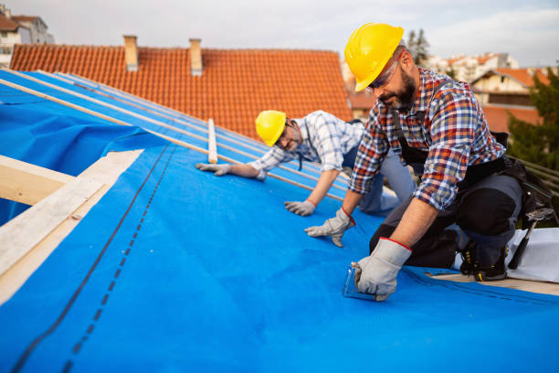 Best Emergency Roof Repair  in Shawneetown, IL