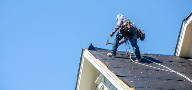 Best Metal Roofing Contractor  in Shawneetown, IL